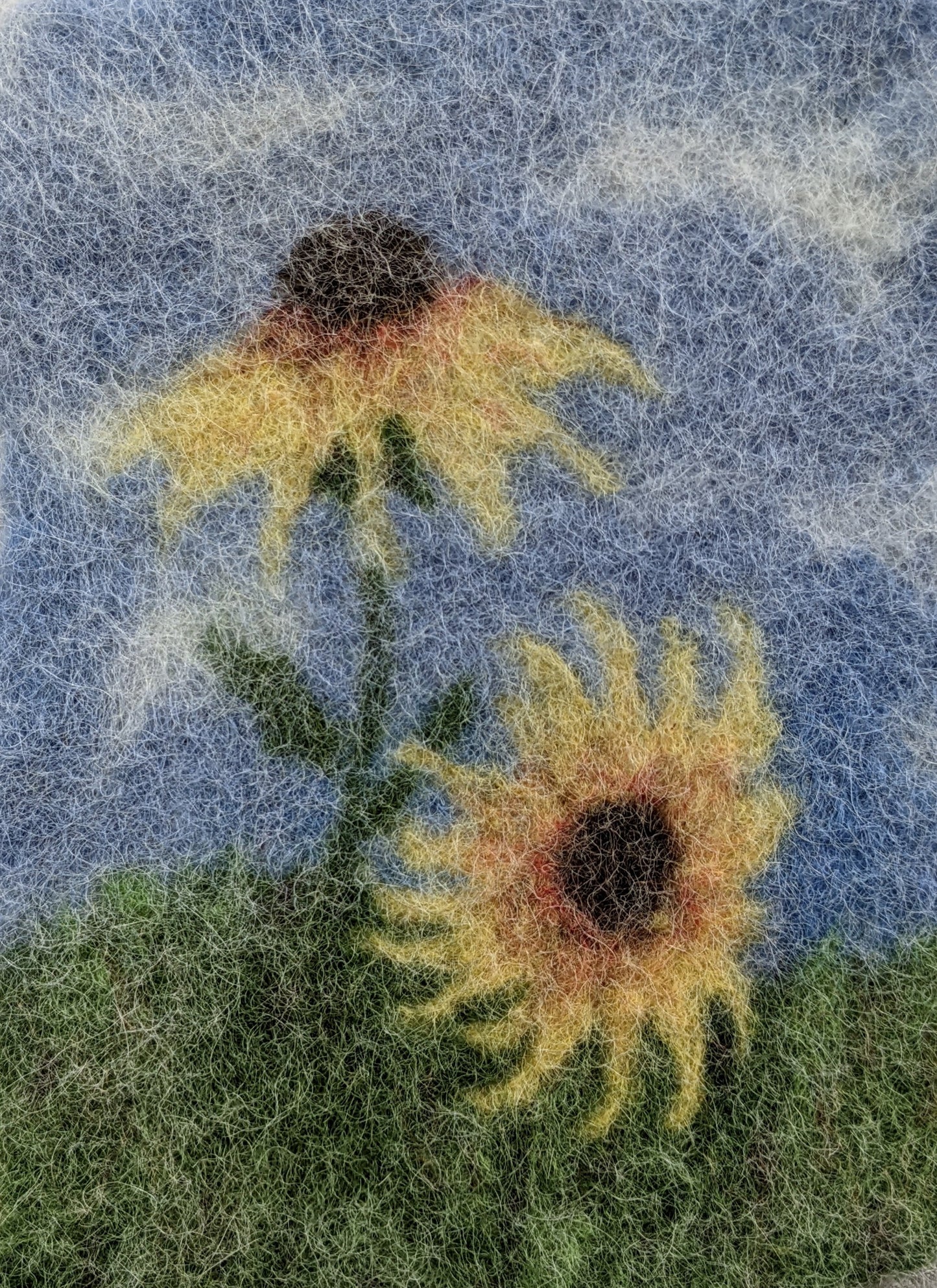 650 - Black Eyed Susan