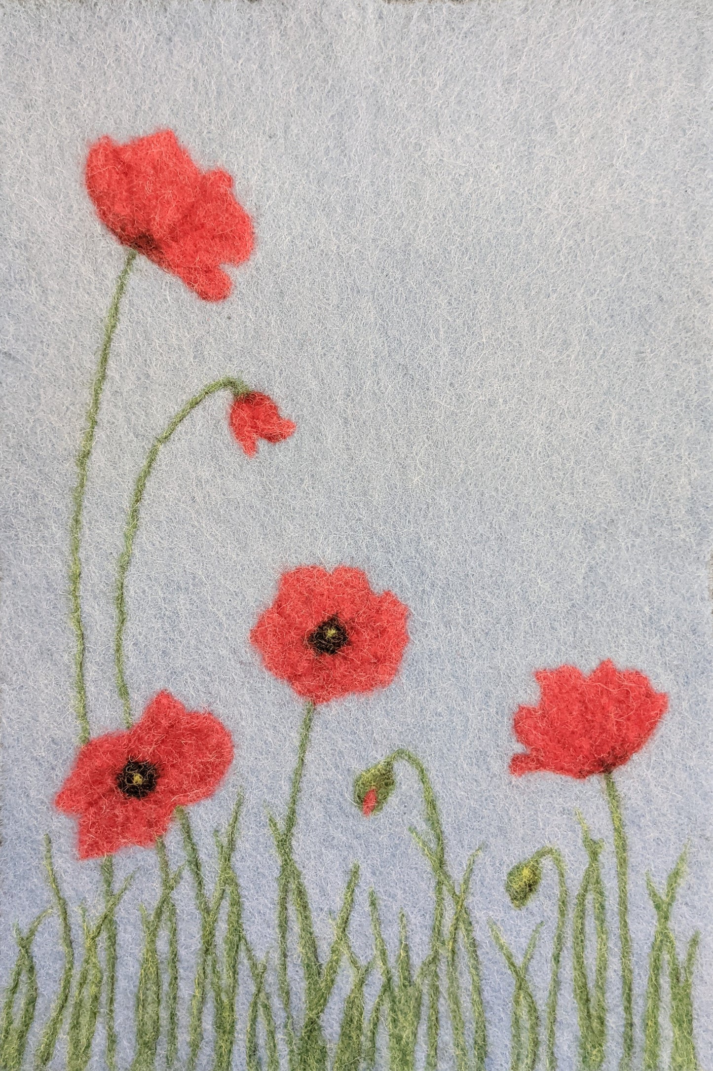 626 - Poppy Garden