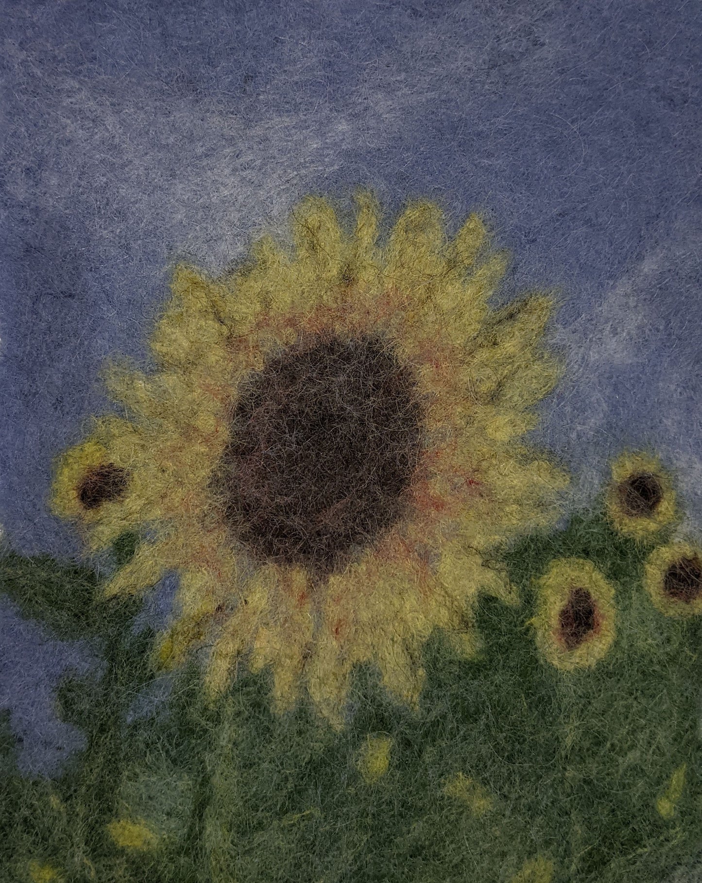 640 - Sunflower Field